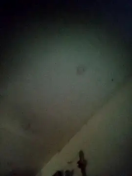 jeremiabello online show from September 13, 8:30 pm