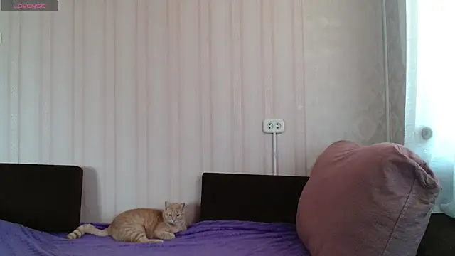 KellyCrystall online show from March 12, 4:30 am