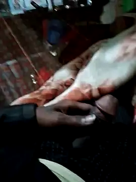 Antor1234 online show from December 15, 6:37 pm