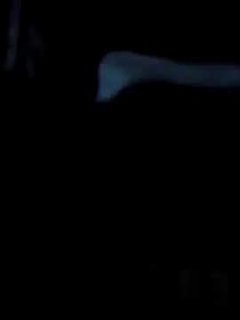 Antor1234 online show from February 23, 5:07 pm