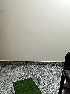 Saroj-Shah online show from April 1, 6:14 am