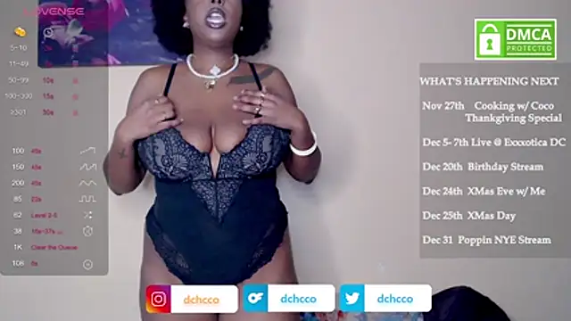 dchcco online show from November 11, 7:58 pm