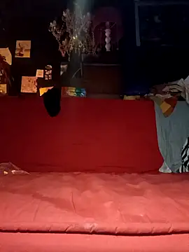 Snapshot of justiacoob chatting on November 19, 6:35 am justiacoob online show from November 19, 6:35 am