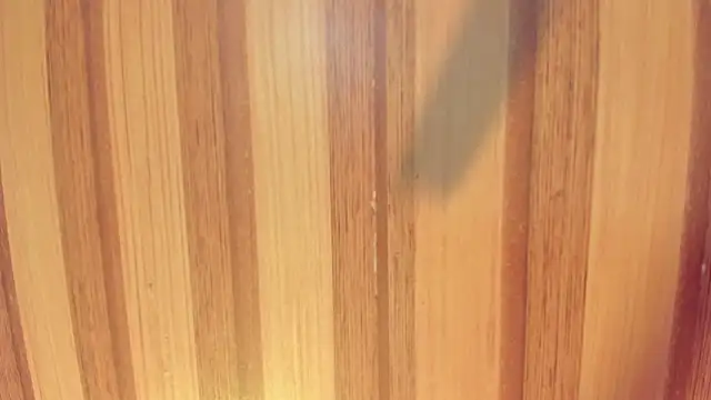 Snapshot of Taylor__cooper chatting on December 1, 6:24 pm Taylor cooper online show from December 1, 6:24 pm