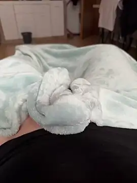 Snapshot of kareem0010 chatting on September 15, 12:38 pm kareem0010 online show from September 15, 12:38 pm