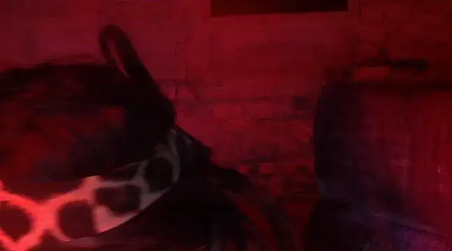 iva spirit online show from February 9, 7:52 pm