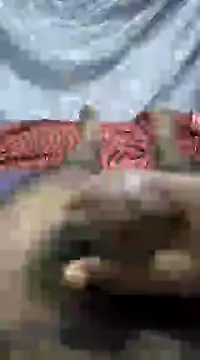 mallucallboy2104 online show from January 1, 9:09 pm