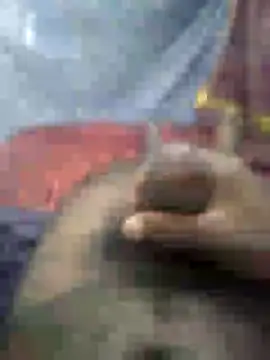 mallucallboy2104 online show from January 15, 4:47 am