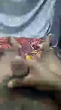 mallucallboy2104 online show from February 13, 7:31 pm