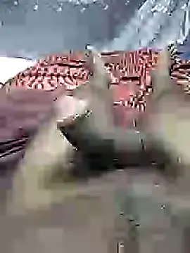 mallucallboy2104 online show from February 27, 10:53 pm