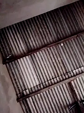 Viny459 online show from December 14, 8:02 pm