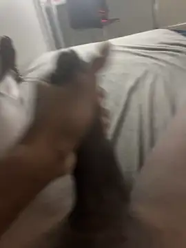 arrete2025 online show from February 3, 1:08 pm