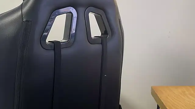 Snapshot of Dylansd chatting on December 27, 8:50 pm Dylansd online show from December 27, 8:50 pm