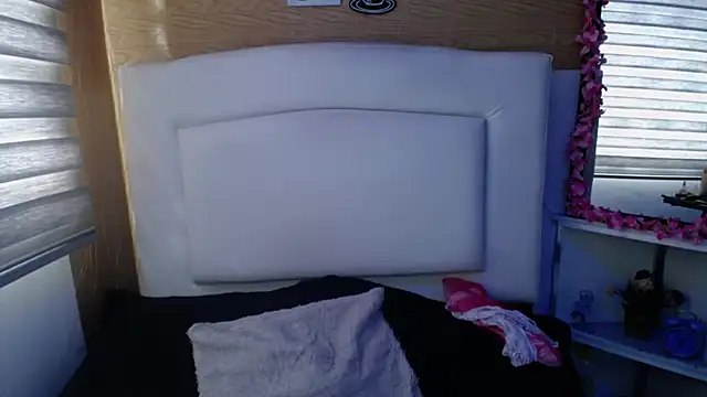 palmer mIix online show from December 19, 8:23 pm