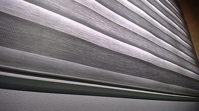 palmer mIix online show from December 23, 1:03 pm