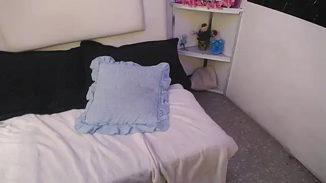 palmer mIix online show from December 27, 1:07 pm