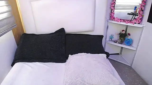 palmer mIix online show from January 9, 1:56 pm