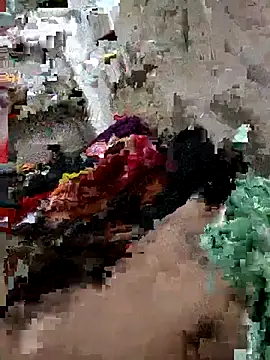 top mickey online show from January 25, 7:49 am
