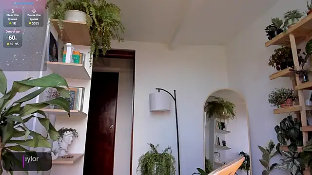 Johaphyton online show from January 18, 9:13 pm