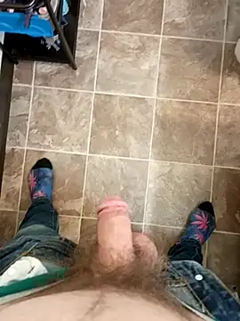 StellerCock online show from February 6, 8:51 am