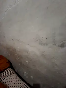 menakshiiikaur online show from December 19, 1:40 pm