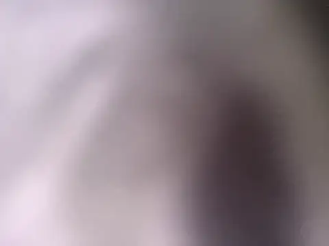 pantomax online show from September 20, 8:48 am