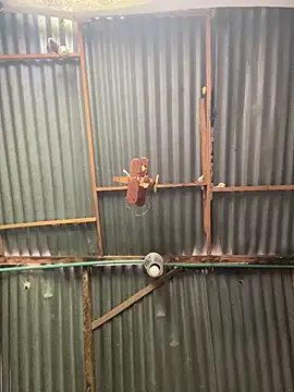 ElNegroRony online show from April 2, 4:04 pm