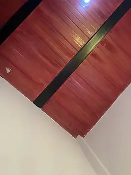 Cassie-millers online show from December 20, 3:00 pm