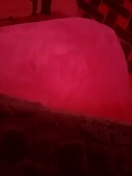 sosarax online show from November 15, 10:56 am