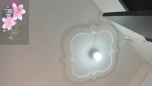 ariana crazzy online show from December 13, 10:23 pm