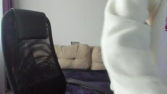 Ostin meow online show from November 7, 7:08 am