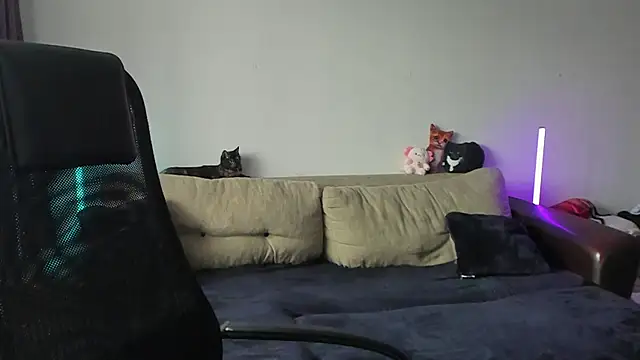 Ostin meow online show from July 3, 1:06 pm