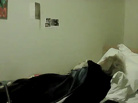 housewife shantie online show from February 8, 8:56 pm