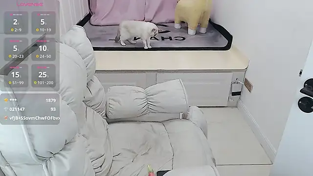 Tang-1314 online show from February 5, 5:30 am