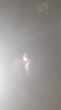 Snapshot of bandi-big-dick chatting on January 7, 1:57 pm bandi-big-dick online show from January 7, 1:57 pm