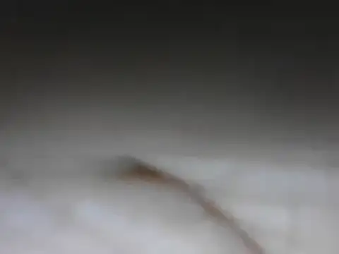 Snapshot of samee00721 chatting on January 24, 8:11 pm samee00721 online show from January 24, 8:11 pm