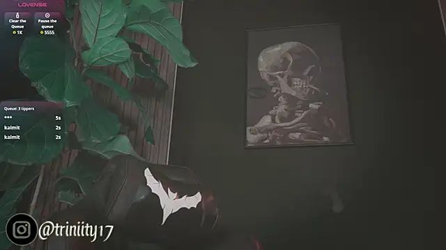 Snapshot of Trinity___s chatting on January 1, 8:13 am Trinity s online show from January 1, 8:13 am