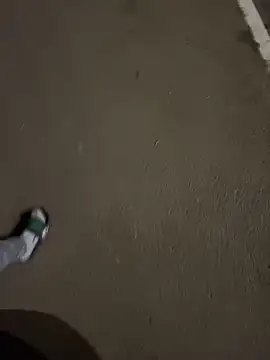 Lahcene online show from November 20, 6:29 pm