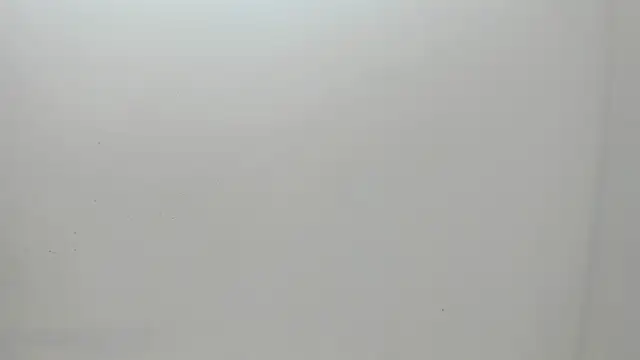 Flynn Riider online show from March 1, 11:17 am