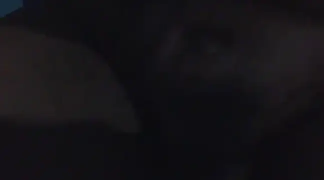 Penis58 online show from December 16, 11:39 pm