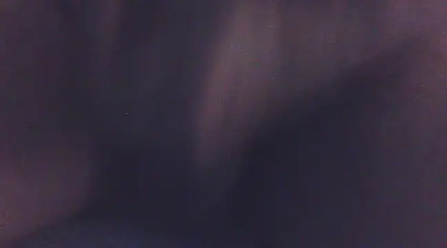 Penis58 online show from December 24, 1:50 pm