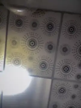 adam-rivera online show from October 1, 5:08 pm