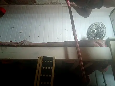 frotasso online show from February 14, 2:25 pm