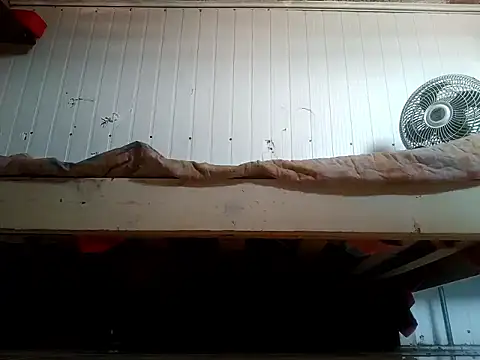 frotasso online show from February 20, 3:23 pm