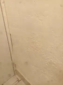 FlacoRiaton online show from February 10, 8:07 am