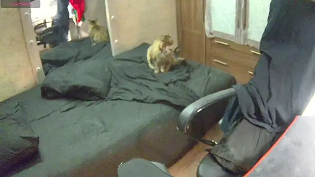 Snapshot of Julia_dolls chatting on December 14, 7:03 pm Julia dolls online show from December 14, 7:03 pm