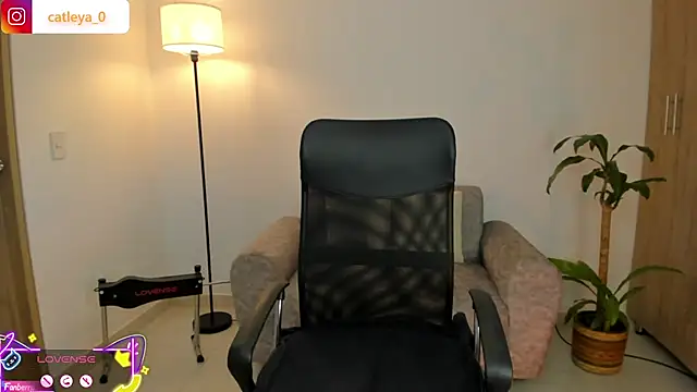 catleya 0 online show from February 15, 3:03 am