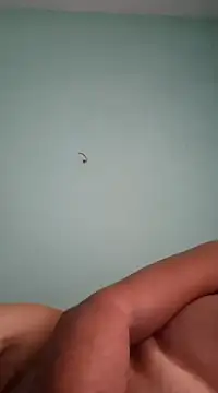 Snapshot of alexjs84 chatting on December 16, 11:12 am alexjs84 online show from December 16, 11:12 am