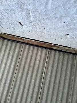 Snapshot of alexjs84 chatting on November 22, 3:44 pm alexjs84 online show from November 22, 3:44 pm