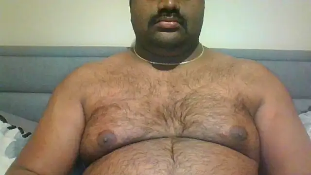 Snapshot of indianbearbot chatting on December 17, 8:54 pm indianbearbot online show from December 17, 8:54 pm